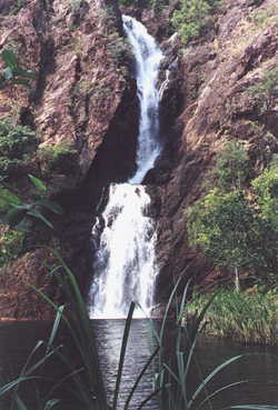 Wangi Falls NT